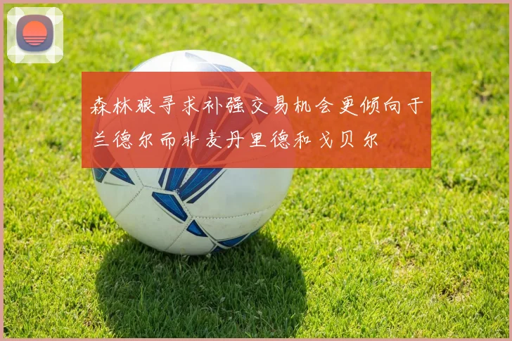 森林狼寻求补强交易机会更倾向于兰德尔而非麦丹里德和戈贝尔